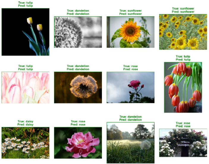 Flower Recognition Using Convolutional Neural Network