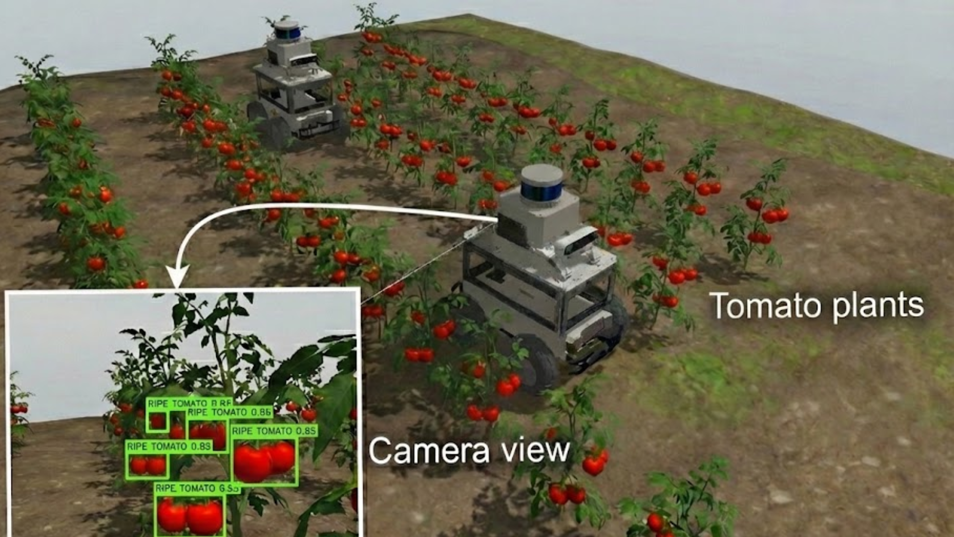 Tomato AgriBot ROS2